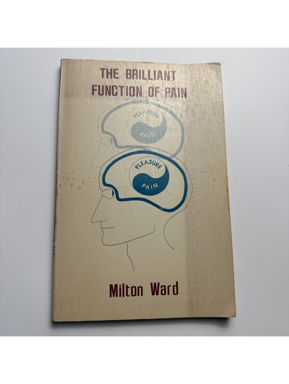 Brilliant Function of Pain Milton Ward 1977 PB Yogic and Spiritual Philosophy